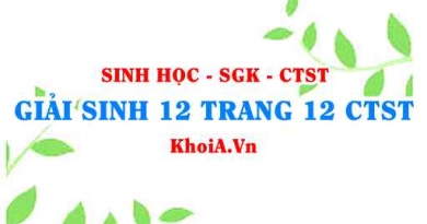 Giải Sinh 12 trang 12 Chân trời Sáng tạo